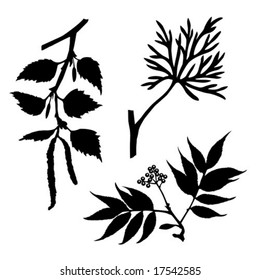 vector silhouettes of the timber plants on white background