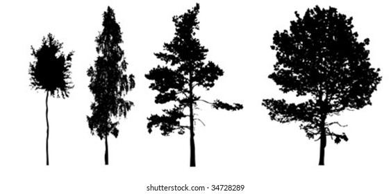 vector silhouettes tree on white background