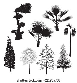 Vector silhouettes of trees of various kinds, fir, cypress, palm, elm, Apple, black color, isolated on white background