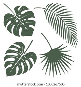Vector silhouettes of tropical leaves. Monstera, coconut palm and fan palm