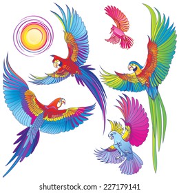 Vector silhouettes of tropical parrots.