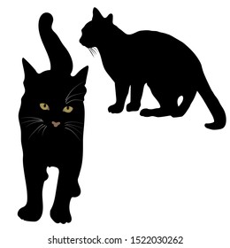 21,196 Spooky black cat silhouette Images, Stock Photos & Vectors ...