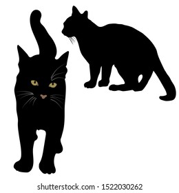 Vector silhouettes of two black cats isolated on white background.