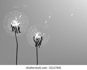 Vector. Silhouettes of two dandelions in the wind.