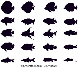 Vector silhouettes of various aquarium fish