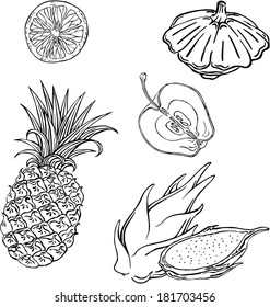 vector silhouettes of various fruits and vegetables
