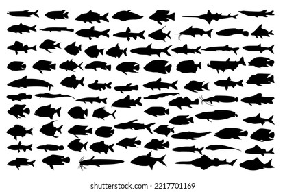 Vector silhouettes of various types of fish, both marine and freshwater fish