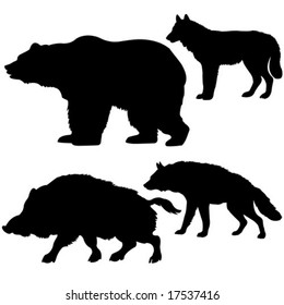 vector silhouettes of the wild boar, bear, wolf, hyena on white background