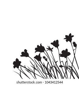 Vector silhouettes of wild flowers, bells, blossom,  black color, isolated on white background