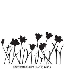Vector silhouettes of wild flowers, bells, blossom,  black color isolated on white background