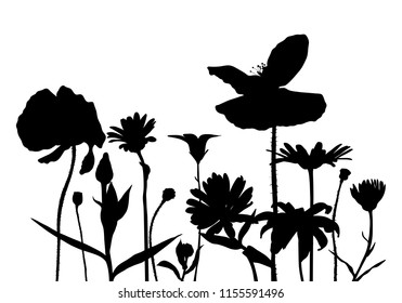 vector silhouettes of wild flowers, floral composition, hand drawn botanical illustration