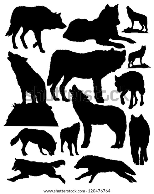 Vector Silhouettes Wolves Stock Vector (Royalty Free) 120476764 ...