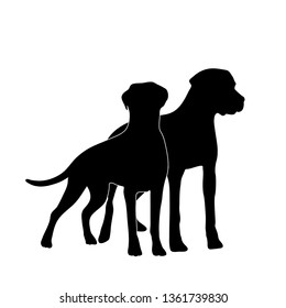 Vector Silhoutte Of Dog And Cat On White Background. Symbol Of Animal And Veterinary.