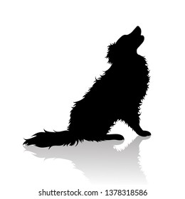 Vector silhoutte of dog on white background. Symbol of animal and veterinary.