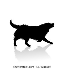 Vector silhoutte of runs dog on white background. Symbol of animal and veterinary.