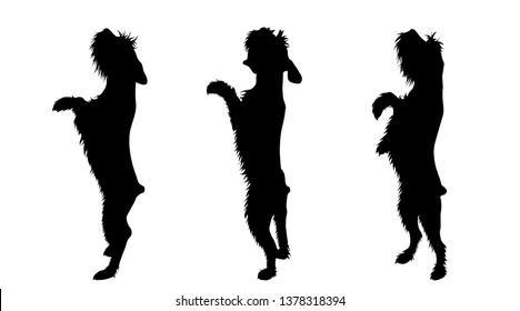 Vector silhoutte of set dogs on white background. Symbol of animal and veterinary.