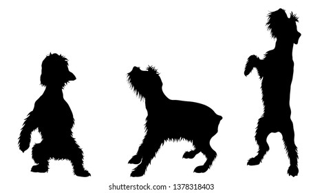 Vector silhoutte of set dogs on white background. Symbol of animal and veterinary.