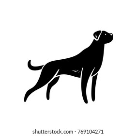 Vector silhuette of staying hunting dog, isolated on white background.