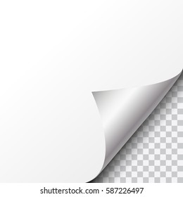 Vector silver curled paper corner with transparent background and space for text