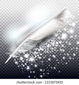 Vector  silver  glitter particles background with realistic feather