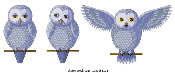 Vector silver grey owl set. Cute character design, birds sitting on the branch. Original funny grey silver birds owls, isolated vector illustration.