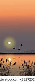 Vector similar background illustration, view of the lake against the backdrop of the sun, flying birds and reed silhouettes, national parks, ecology, nature, flora, fauna.