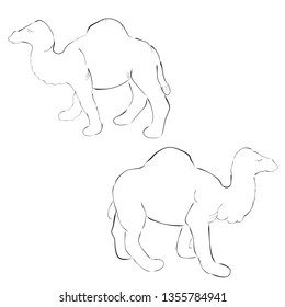 vector simple 2 outline sketch camel 
