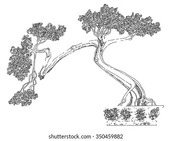 vector simple black on white drawing - BONSAI - white tree in a black pot line art