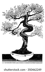 vector simple black on white drawing - BONSAI - detailed decorative art