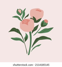 Vector simple botanical card. Spring floral illustration in pastel colors. Peony hand-drawn print for greeting card or poster. 