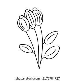 Vector simple botanical illustration of three flowers. Line artwork minimal design elements. elegant and delicate plant doodles for branding, graphic design. spring floral clip art.