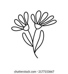 Vector simple botanical illustration of two flowers. Line artwork minimal design elements. elegant and delicate plant doodles for branding, graphic design. spring floral clip art.