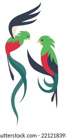 Vector simple cartoon illustration of sitting and flying quetzal birds