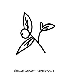 Vector Simple Christmas plant in doodle style with black line on white background.Floral,winter,botanical,mininmalist hand drawn illustration.Design for stickers,packaging,web,printing,posters. 