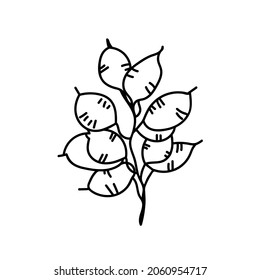 Vector Simple Christmas plant in doodle style with black line on white background.Floral,winter,botanical,mininmalist hand drawn illustration.Design for stickers,packaging,web,printing,posters. 