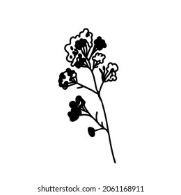 Vektor Einfache Weihnachtspflanze im Doodle-Stil mit schwarzer Linie auf weißem Hintergrund.Floral, Winter, botanische, mininmalistische handgezeichnete Illustration.Design für Aufkleber, Verpackung, Web, Druck, Plakate. 