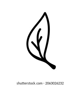 Vektor Einfache Weihnachtspflanze im Doodle-Stil mit schwarzer Linie auf weißem Hintergrund.Floral, Winter, botanische, mininmalistische handgezeichnete Illustration.Design für Aufkleber, Verpackung, Web, Druck, Plakate. 