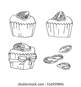 vector simple contour cupcakes with almond nut white black