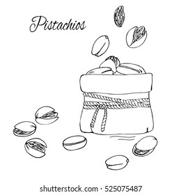 vector simple contour pistachios in pack sketch