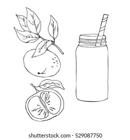 vector simple contour sketch of mandarin drink