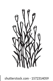 Vector simple doodle of a bouquet of wild calla flowers, bells, stems and leaves. Black silhouette of a natural flowerbed isolated on a white background.