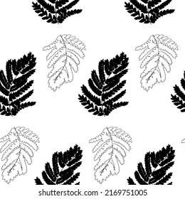 Vector simple drawing pettern of a fern twig. Fern for printing on fabric black and white. Vector illustration.