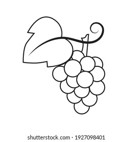 vector simple drawing thin line abstract logo icon twig bunch of grapes isolated black on white background