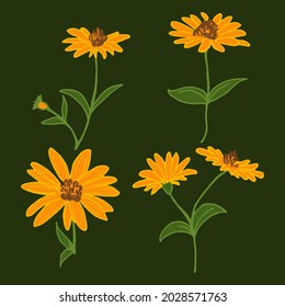 Vector, simple drawings of flowers. For printing on fabric. Floral drawing.