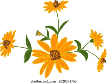 Vector, simple drawings of flowers. For printing on fabric. Floral drawing.