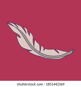 vector simple feather illustration with stroke