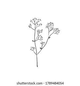 Vector simple floral icon. Hand drawn wildflowers. For logo designs, for branding and business identity.