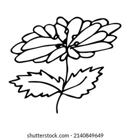 Vector simple flower doodle clipart. Hand drawn floral illustration isolated on white background. For print, web, design, decor, logo.