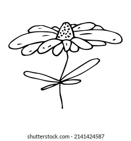 Vector simple flower doodle clipart. Hand drawn floral illustration isolated on white background. For print, web, design, decor, logo.
