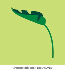 ilustración de hoja verde simple vectorial